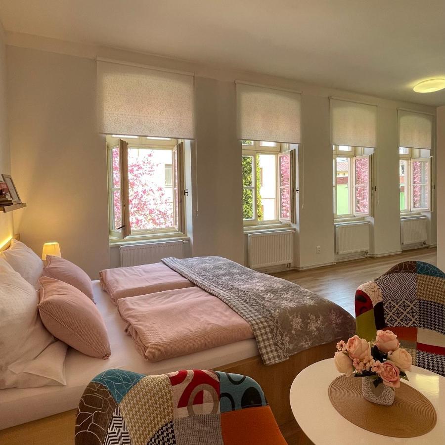Apartmany Basta & Wellness Susice Bagian luar foto