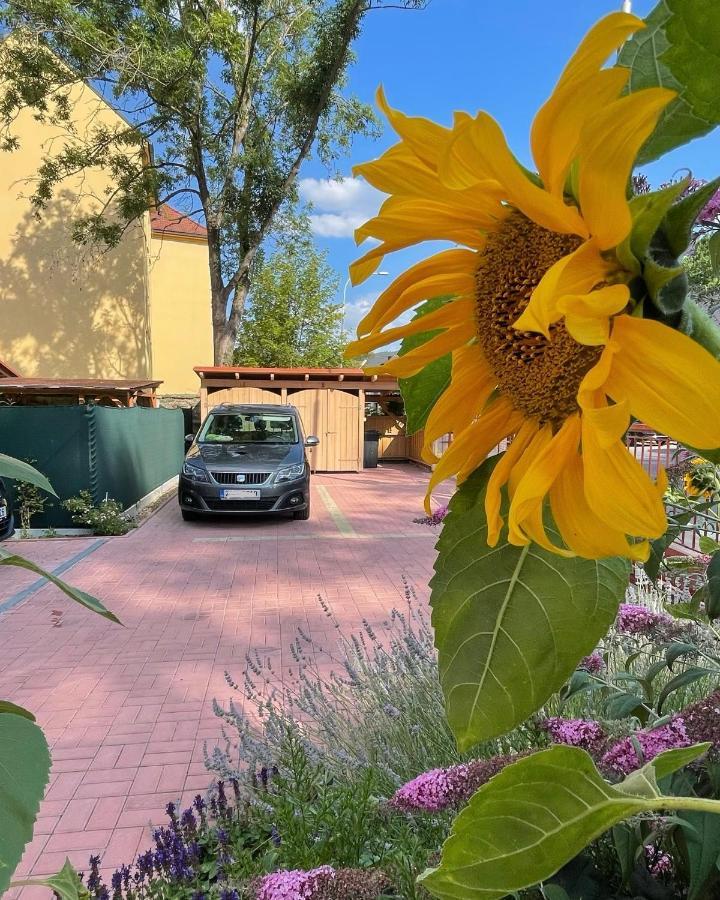 Apartmany Basta & Wellness Susice Bagian luar foto