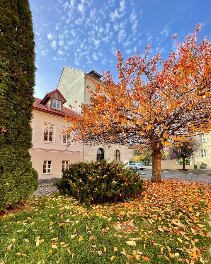 Apartmany Basta & Wellness Susice Bagian luar foto