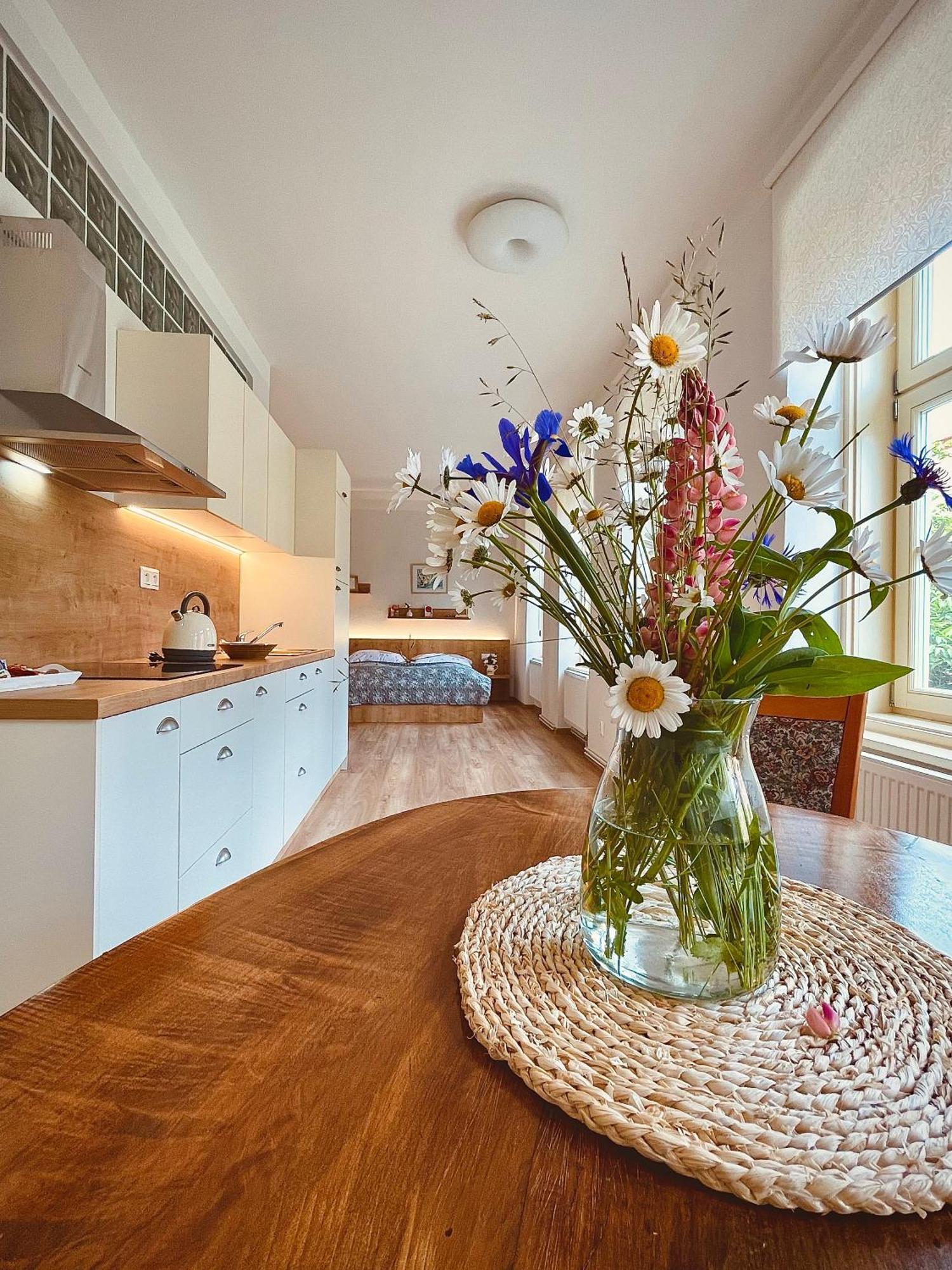 Apartmany Basta & Wellness Susice Bagian luar foto
