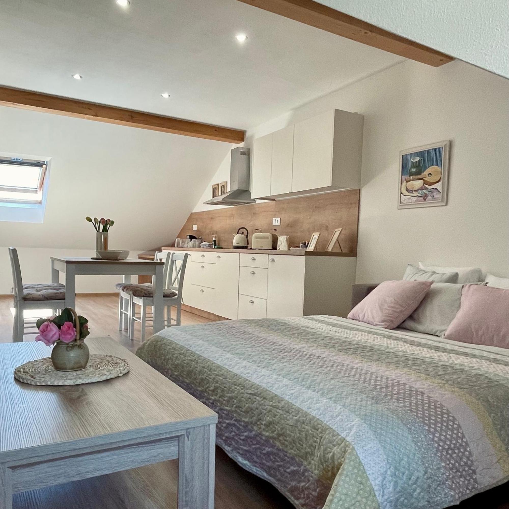 Apartmany Basta & Wellness Susice Bagian luar foto