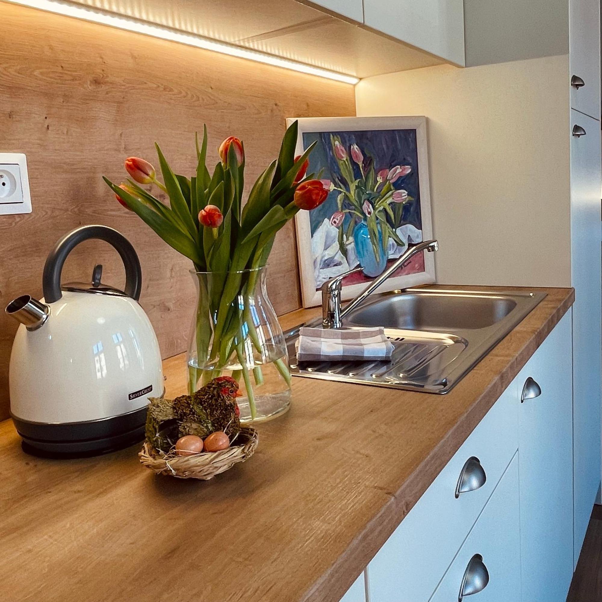 Apartmany Basta & Wellness Susice Bagian luar foto